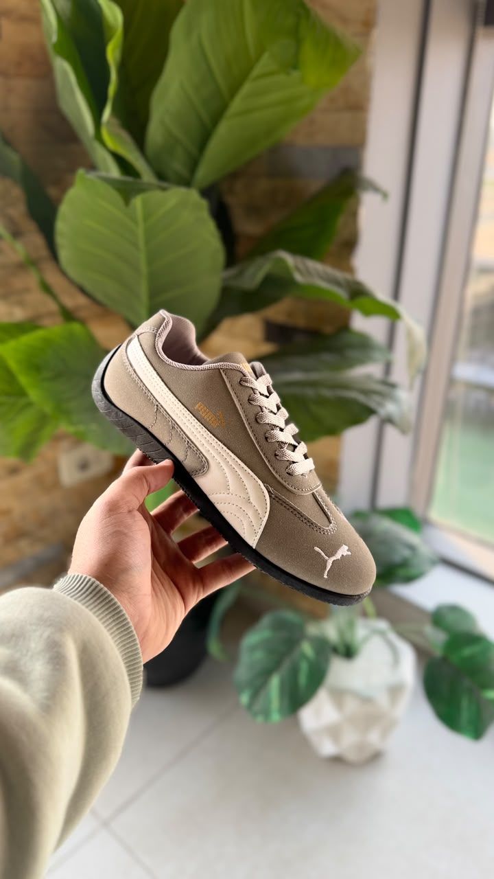 Gray Puma speedcat High quality ✨